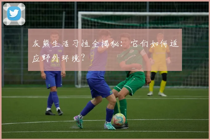 灰熊生活习性全揭秘：它们如何适应野外环境？