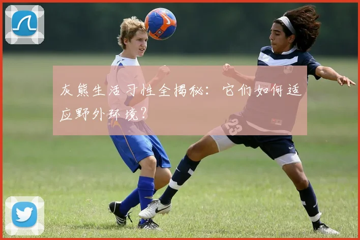 灰熊生活习性全揭秘：它们如何适应野外环境？