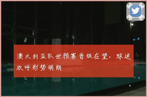 澳大利亚队世预赛晋级在望,球迷欢呼形势明朗