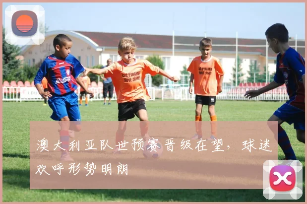 澳大利亚队世预赛晋级在望,球迷欢呼形势明朗